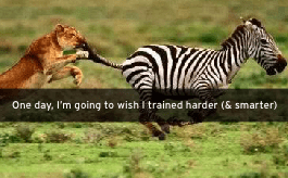 Screen Shot 2013-10-19 at 6.42.49 AM